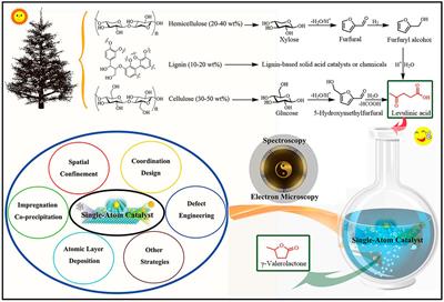 Reductive Upgrading of Biomass-Based Levulinic Acid to γ-Valerolactone Over Ru-Based Single-Atom Catalysts